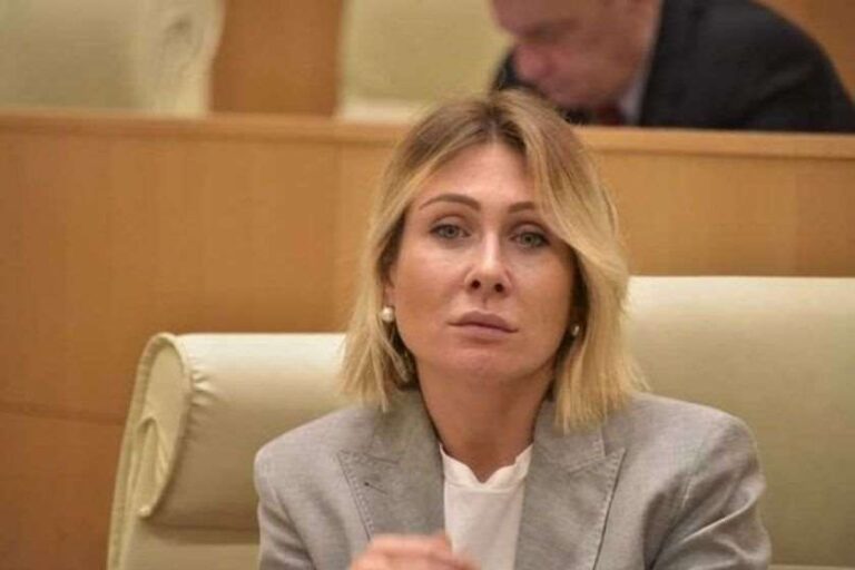 "აშშ-ში აწარმოებენ შეხვედრებს მხოლოდ იმისთვის, რომ რაღაც მცირედი მაინც დაუშავონ ამ ქვეყანას"-ნინო წილოსანი