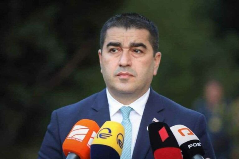 ეტყობა, რუსეთის ბიუჯეტიდან მიღებული ფული ენანება საქართველოს ბიუჯეტისთვის - შალვა პაპუაშვილი გირაოსთან დაკავშირებით ელენე ხოშტარიას გადაწყვეტილებაზე