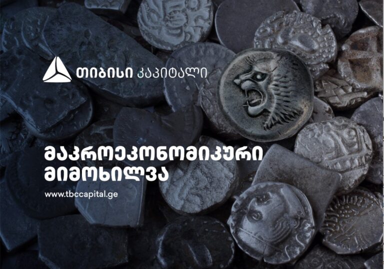 თიბისი კაპიტალმა მაკროეკონომიკური მიმოხილვა გამოაქვეყნა-ლარზე მოქმედი ძირითადი ფაქტორები