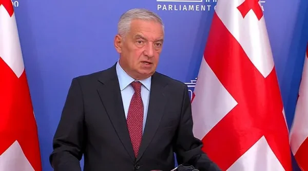 ჩვენ მძლავრი, კეთილგანწყობილი მოკავშირე გვჭირდება - რესურსი არსებობს, რომ ამერიკასა და საქართველოს შორის ასეთი ურთიერთობა ჩამოყალიბდეს - გია ვოლსკი