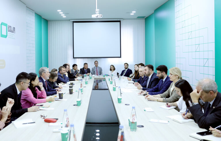 ცესკოს თავმჯდომარემ საერთაშორისო ორგანიზაციებისა და დიპლომატიური კორპუსის წარმომადგენლებს მიმდინარე საარჩევნო საკითხები გააცნო