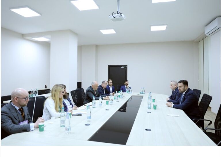 ცესკოში საერთაშორისო დამკვირვებელი ორგანიზაციების წარმომადგენლებთან შეხვედრა გაიმართა