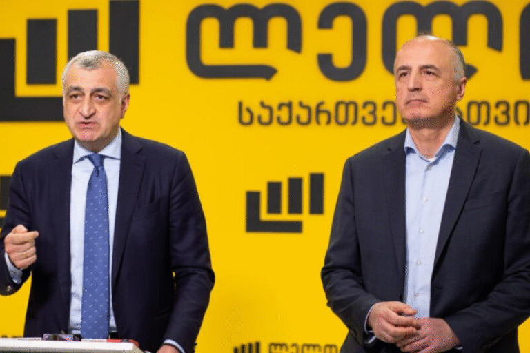 მამუკა ხაზარაძესა და ბადრი ჯაფარიძეს, თითოეულს აღკვეთის ღონისძიების სახით მილიონი ლარის გირაო შეუფარდა