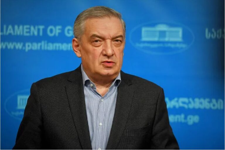 ფაქტია, ვენეციის კომისიამ თავის ფუნქცია დაკარგა და გადაიქცა ბიუროკრატიულ დანამატად - გია ვოლსკი