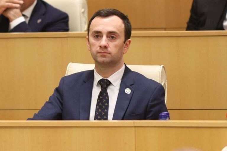 ხელისუფლება ყველაფერს აკეთებს, რომ "ნამახვანჰესის" საქმე არ დააწვეს სახელმწიფო ბიუჯეტსა და საზოგადოების განვითარებას, ვეცდებით, ეს საკითხი ეტაპობრივად ჩავხუროთ -ლევან მახაშვილი
