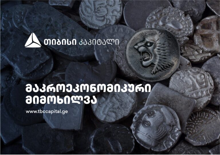 თიბისი კაპიტალმა მაკროეკონომიკური განახლება გამოაქვეყნა - სადამდე გამყარდება ლარი?