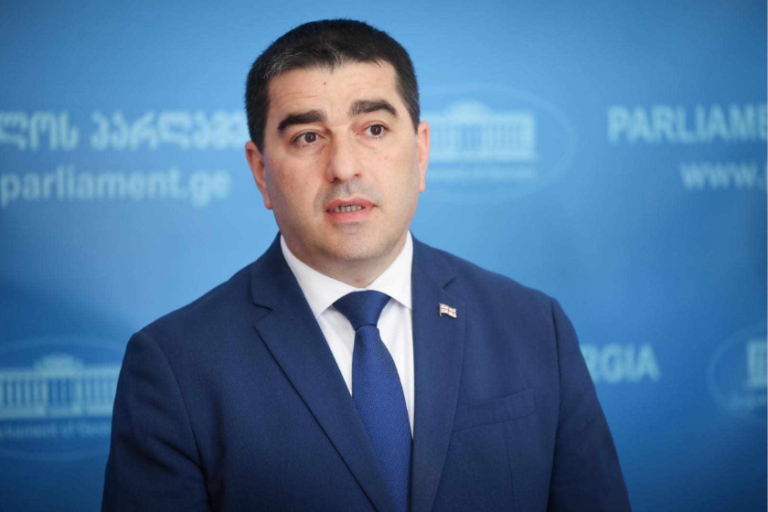 საგამოძიებო კომისიის დასკვნა ინგლისურ ენაზე ითარგმნა, მასში აღწერილია „ნაციონალური მოძრაობის“ რეჟიმის დანაშაულები -შალვა პაპუაშვილი