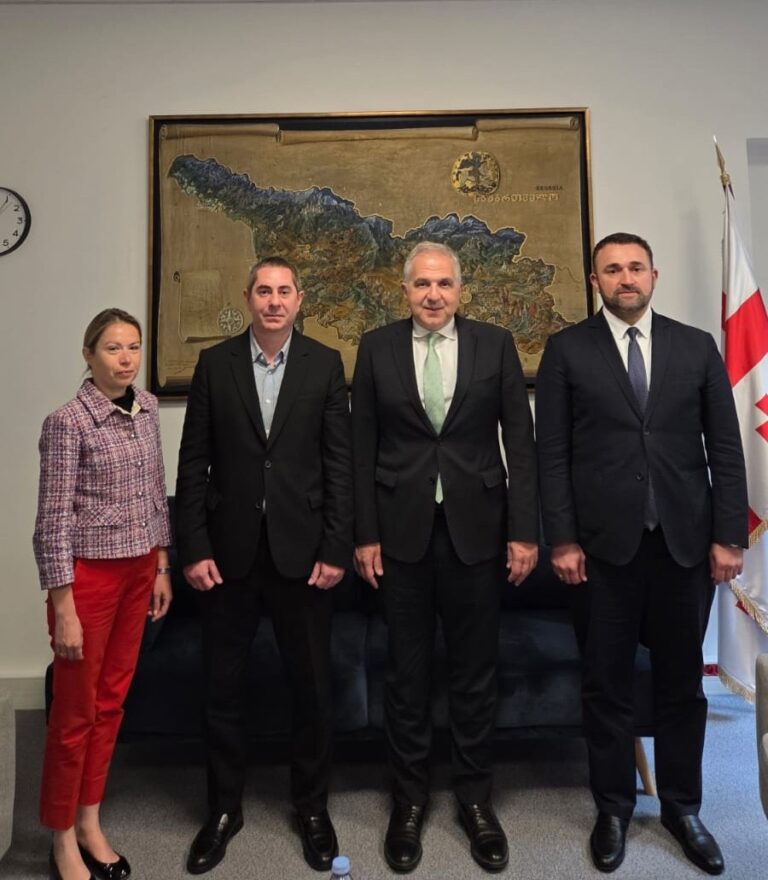 ცესკოს თავმჯდომარე და მდივანი საფრანგეთის რესპუბლიკაში საქართველოს საგანგებო და სრულუფლებიან ელჩს შეხვდნენ