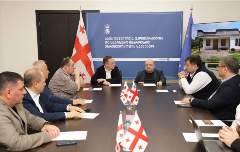 ჯანდაცვის სამინისტრო - დევნილთა სააგენტო იძულებით გადაადგილებულ 500-ზე მეტ ოჯახს - მთელი ქვეყნის მასშტაბით, საცხოვრებელ სახლებს შეუსყიდის