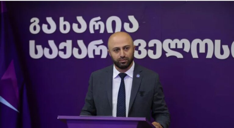 "ოცნების" შექმნილი დეკორაცია, რომ თითქოს სიძულვილის ენას და ძალადობას ებრძვიან, სრულად და ბოლომდე ჩამოინგრა"-ბერდია სიჭინავა