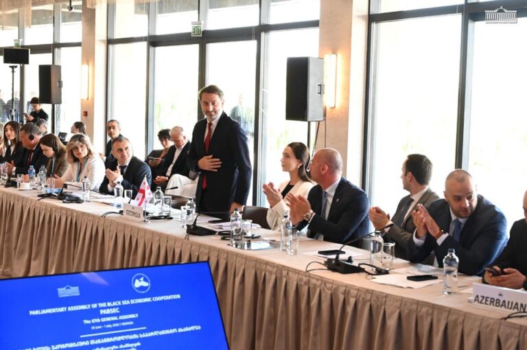 ირაკლი მეზურნიშვილი შავი ზღვის ეკონომიკური თანამშრომლობის საპარლამენტო ასამბლეის ვიცე-პრეზიდენტად აირჩიეს