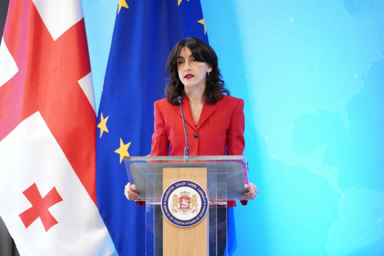 მაკა ბოჭორიშვილი - ევროკავშირის გაფართოების ახალი წესები აჩენს კითხვებს, რამდენად არის მზად ევროკავშირი ახალი წევრების მისაღებად