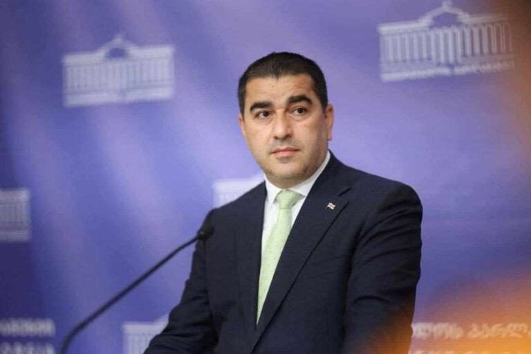 სიძულვილის ენის წინააღმდეგ ბრძოლის სამმართველო მოიტანს იმას, რომ გარედან თავს მოხვეული სიძულვილი საქართველოში შემცირდება -შალვა პაპუაშვილი