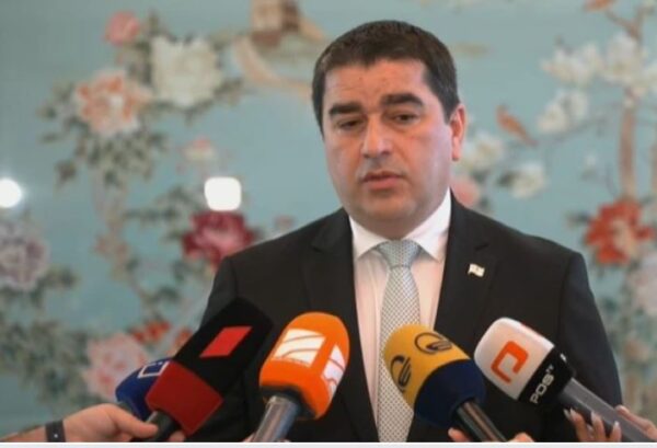 შალვა პაპუაშვილი: მთავარი პრობლემა არის ის, რომ ევროპარლამენტი და PACE არ აღიარებს საქართველოს სუვერენიტეტს. ვისთანაც სუვერენიტეტის დაცვას ვეძებდით, ჩვენი სუვერენიტეტის მთავარი მტერი აღმოჩნდა