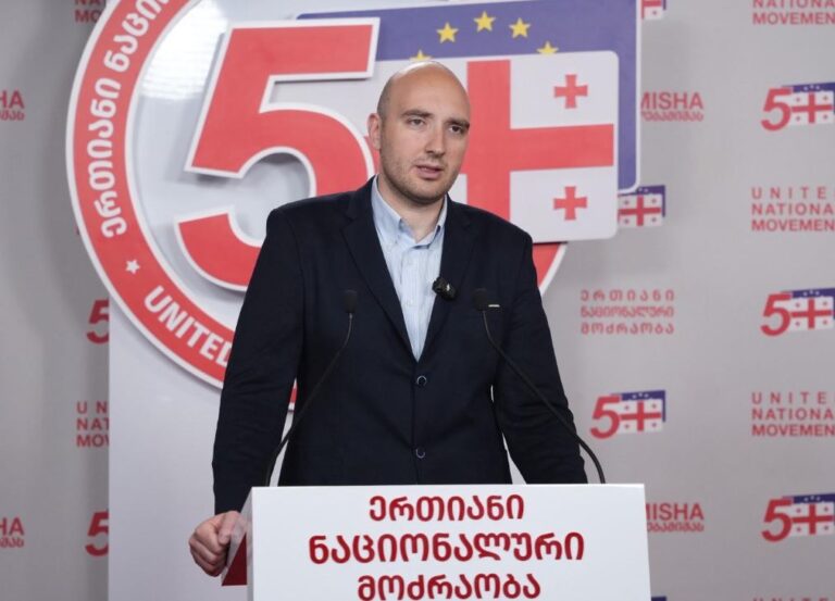 ირაკლი ფავლენიშვილი – ნანუკა ჟორჟოლიანი შეიძლება, კლასიკური გაგებით, პოლიტიკოსი არ იყოს, მაგრამ სახალხო პერსონაა, კარგი მენეჯერული უნარები აქვს, ხელაღებით ვერ ვიტყოდი, რომ თავმჯდომარეობას ვერ შეძლებდა