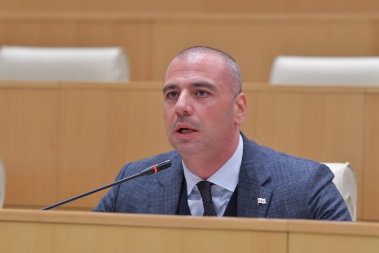 ლევან მაჭავარიანი – ჯო უილსონი საქართველოსა და ქართველ ხალხზე ნაკლებად დარდობს, ის ამაში ფულს იღებს