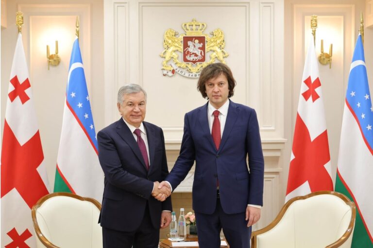 ირაკლი კობახიძე უზბეკეთის რესპუბლიკის პრეზიდენტ შავკატ მირზიოევს შეხვდა