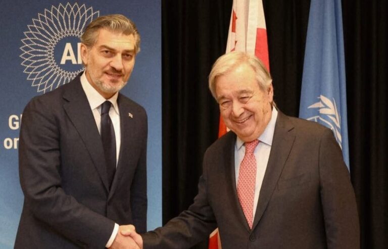 მიხეილ ყაველაშვილი ჟენევაში გაერო-ს გენერალურ მდივანს, ანტონიუ გუტერეშს შეხვდა